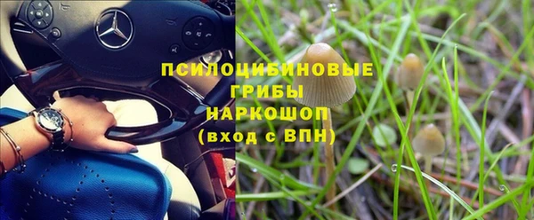 марки lsd Елабуга