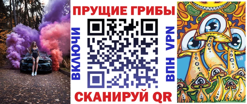 Купить где  Гай  Галлюциногенные грибы мухоморы 